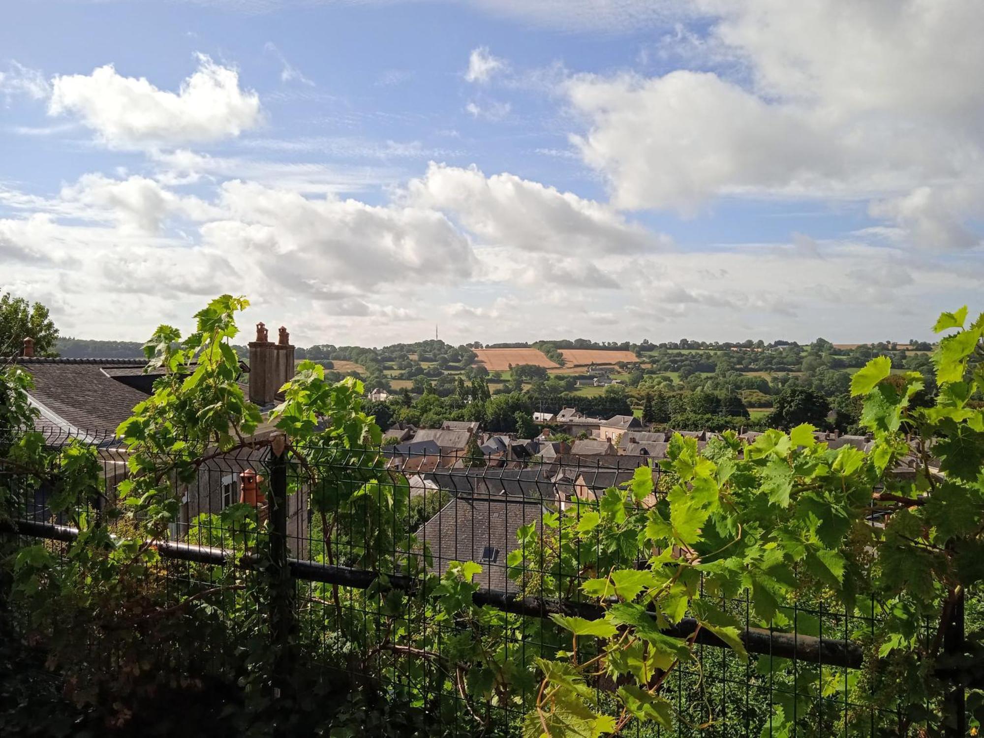 Charming Detached 2 Bedroom Ancient House In Medieval Quarter Of A Small Town In The Pays De La Loire, France Sillé-le-Guillaume 외부 사진